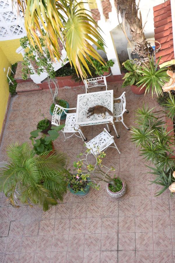 Cancun Guest House Extérieur photo